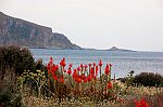 7 DSC_0047  r 